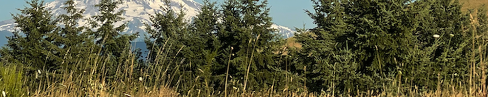 Cover photo