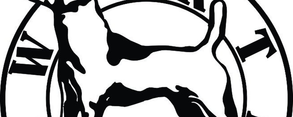 Cover photo