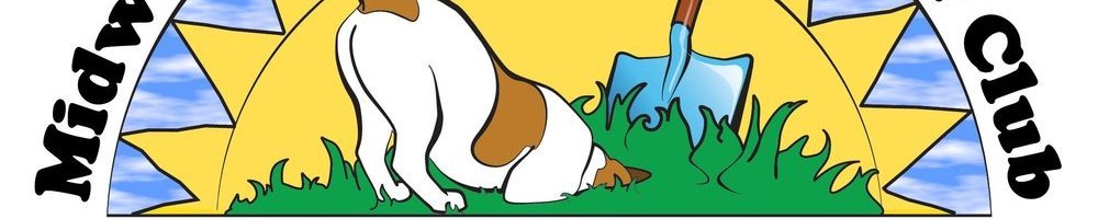 Cover photo
