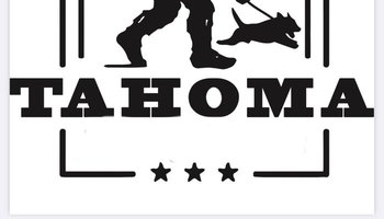 Tahoma Terrier Trial 2024