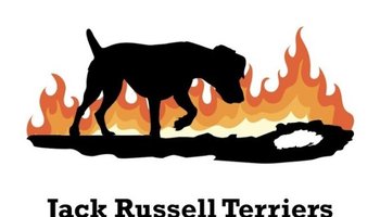 FireN TheHole Jack Russell Terriers