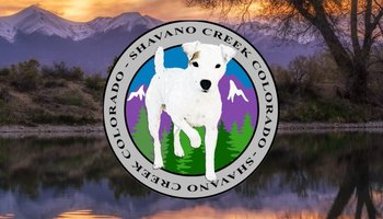 Shavano Creek Colorado
