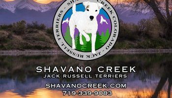 Shavano Creek  - Jon and Ellie Thompson