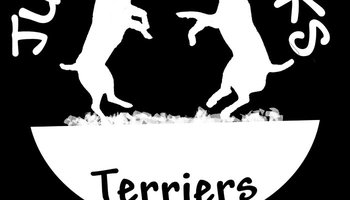 Jumpin Jacks Terriers