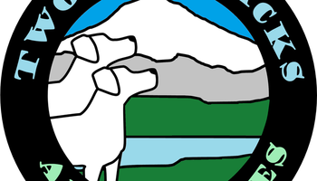 Two Bad Jacks Adventures