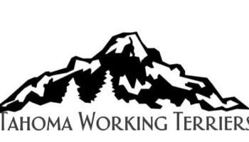 Tahoma Working Terriers - Josh & Tamara Dotson