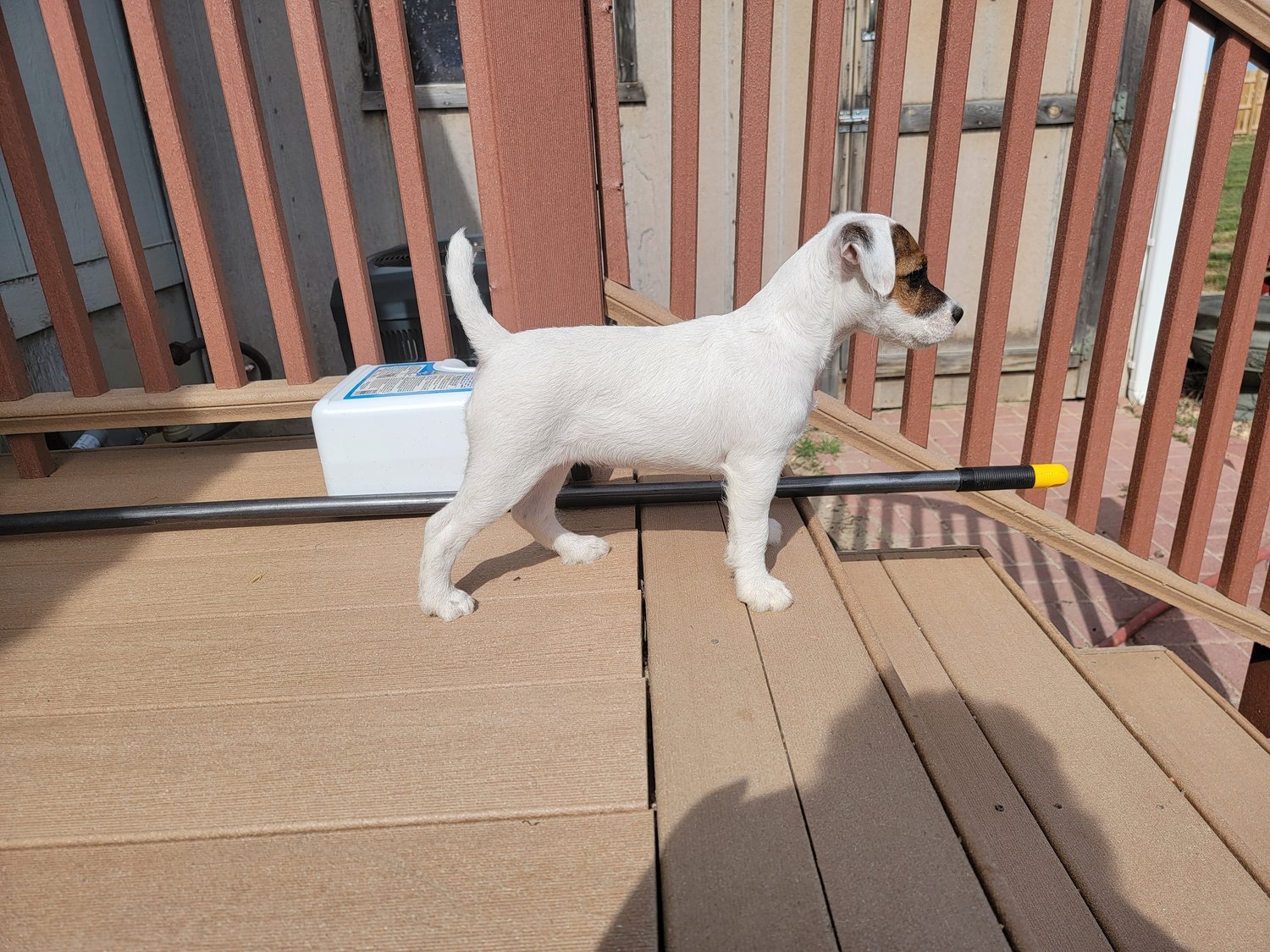 Avalanche Acres Lolo