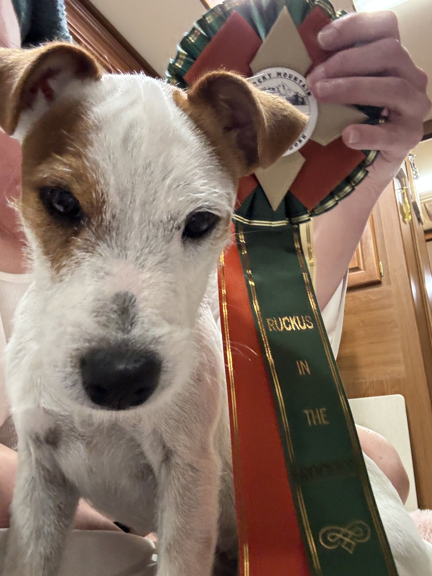 Rocky - Best 4-6 @ Ruckus!