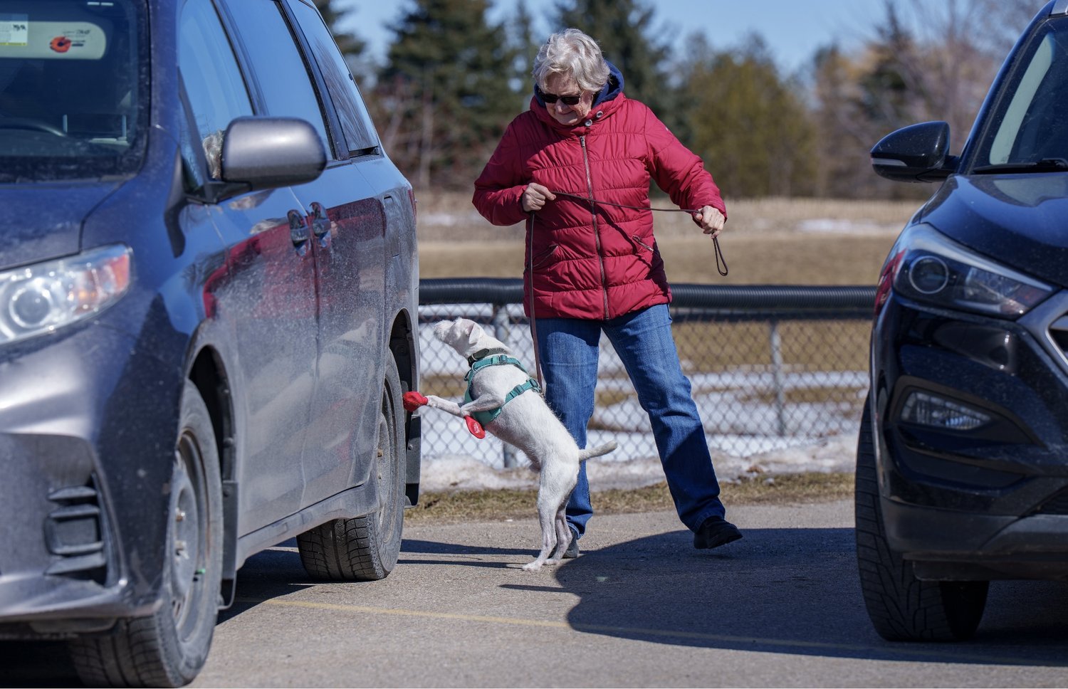 Reynard’s Folly Sterling -Vehicle search…